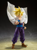 S.H. Figuarts Dragon Ball Z Super Saiyan Gohan (The Warrior Who Surpassed Goku) (Reissue) Action Figure