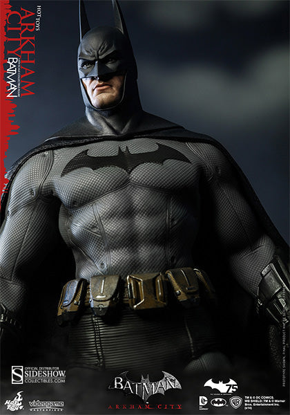 Hot Toys Batman Arkham City Batman Sixth Scale Figure VGM18